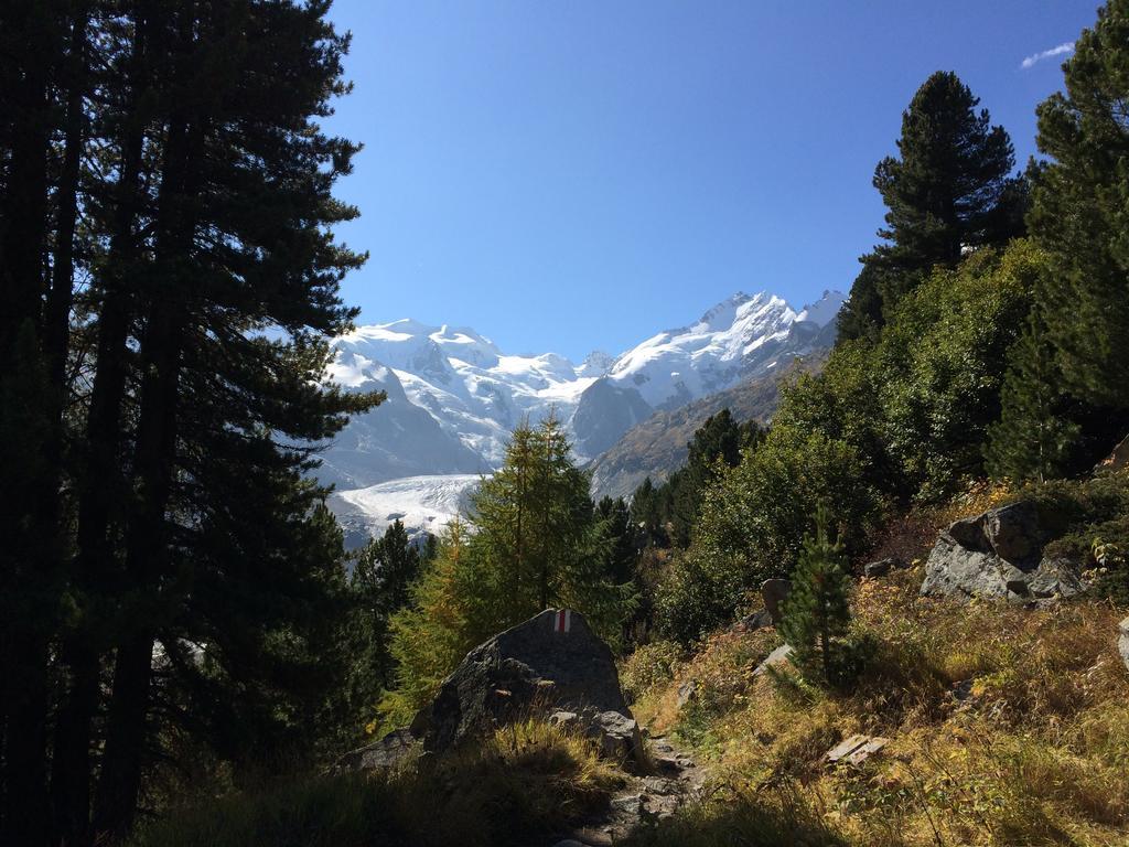 Hotel Bernina Понтрезина Экстерьер фото